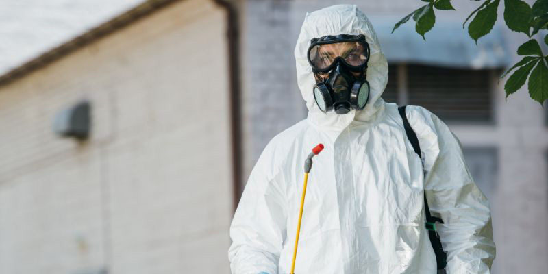 Professionelle Schädlingsbekämpfung
