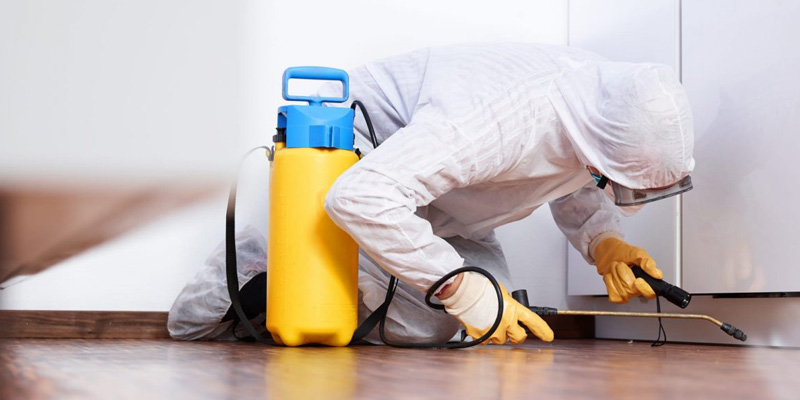 Kammerjäger bei der Arbeit